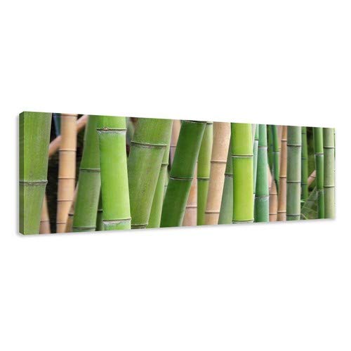 Bambus mit Zen Steinen Leinwandbild Wanddeko Kunstdruck 